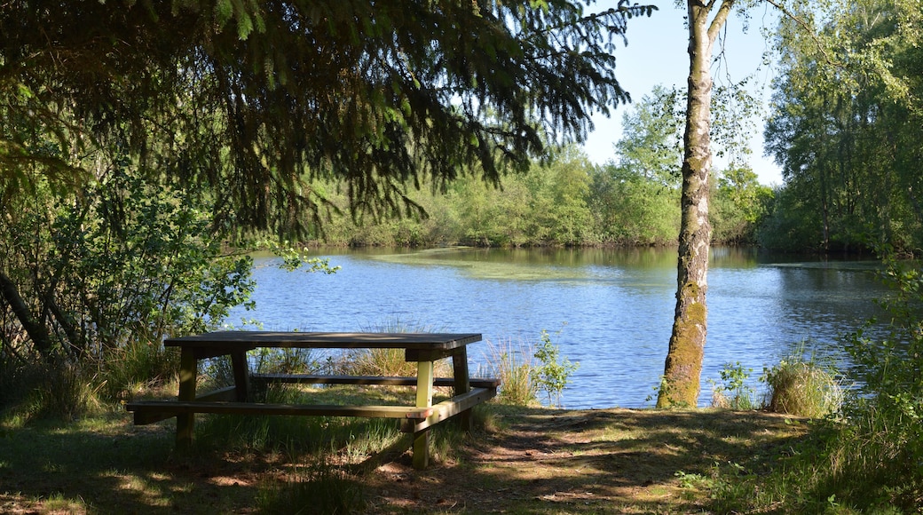 This is a picture of the protected area listed at WDPA under the ID