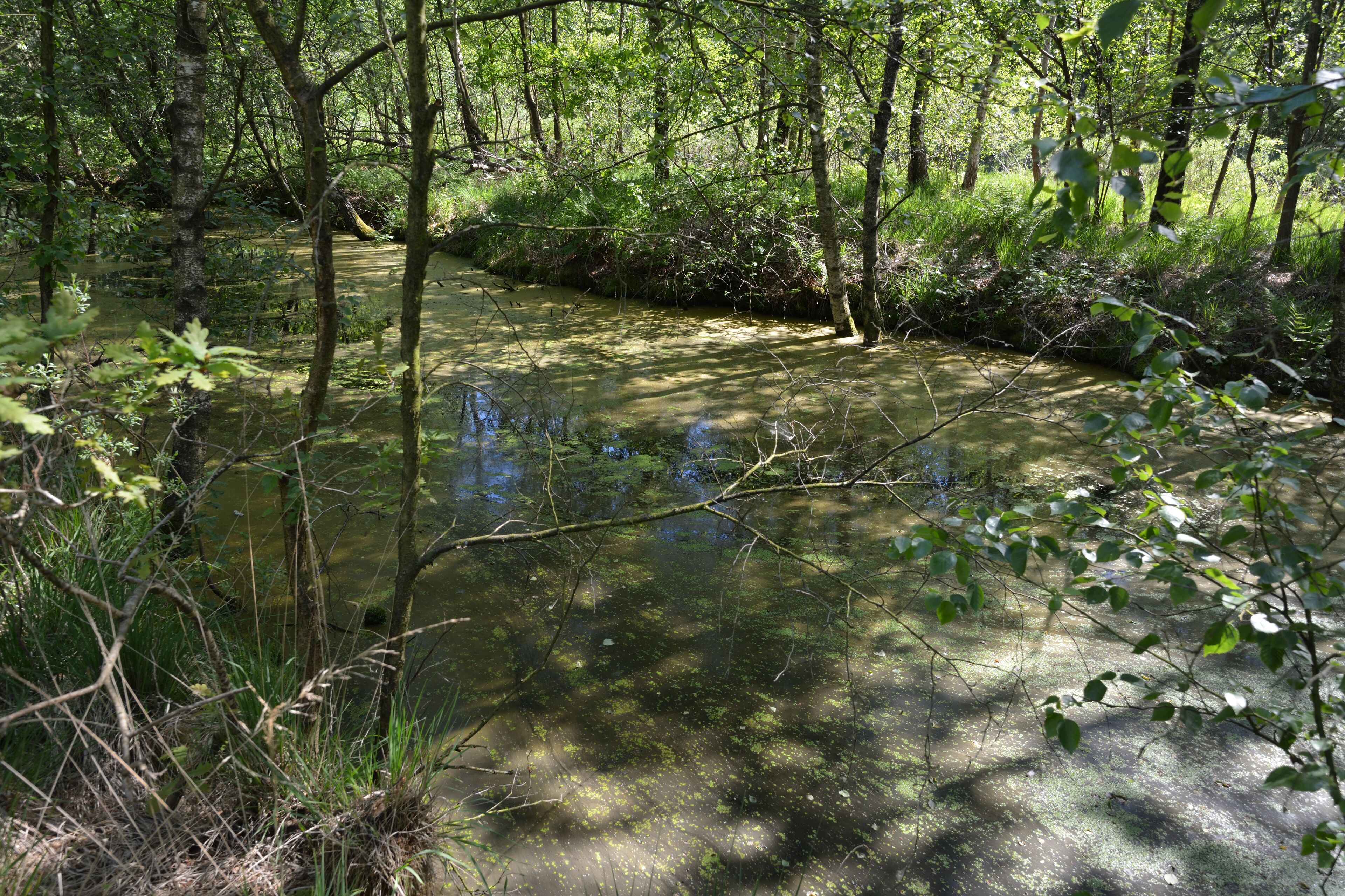 This is a picture of the protected area listed at WDPA under the ID