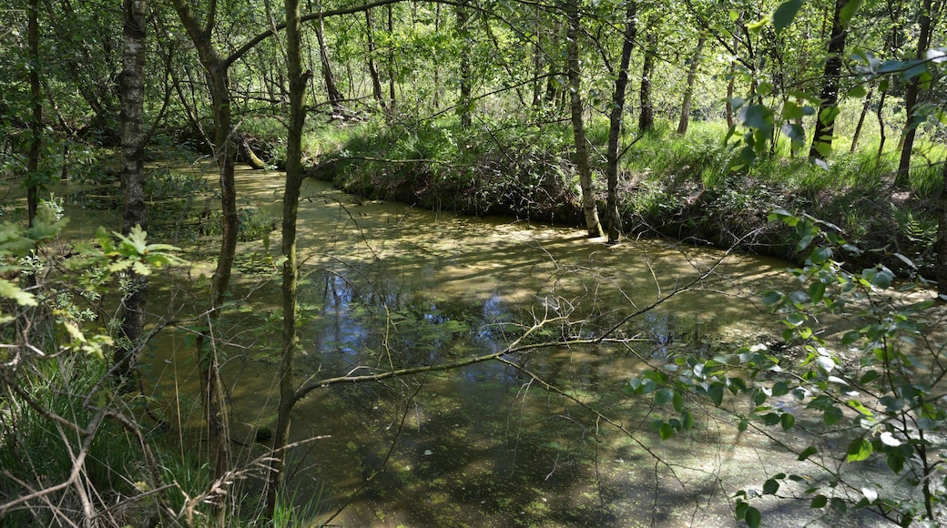 This is a picture of the protected area listed at WDPA under the ID