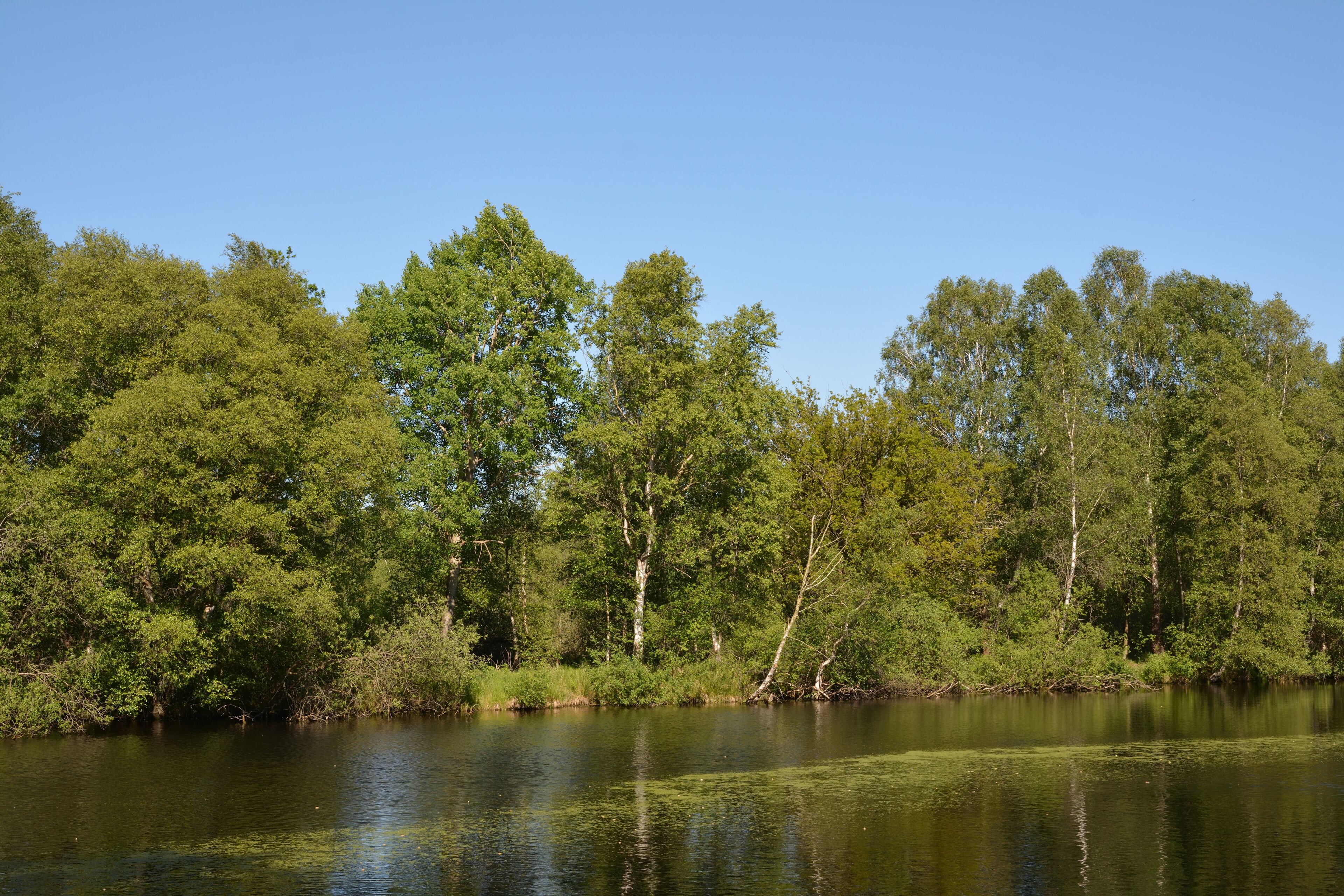 This is a picture of the protected area listed at WDPA under the ID