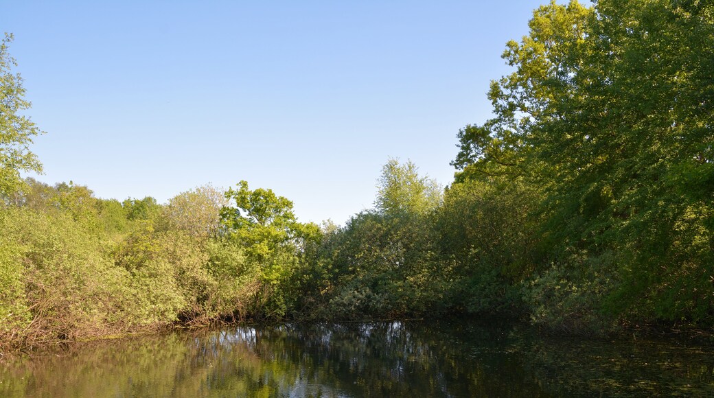 This is a picture of the protected area listed at WDPA under the ID