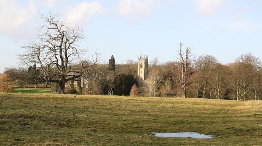 Hackthorn parkland Parkland at Hackthorn with the tower of St.Michael & All Angels church and Hackthorn Hall just visible in the trees