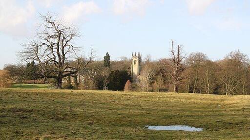 Hackthorn parkland Parkland at Hackthorn with the tower of St.Michael & All Angels church and Hackthorn Hall just visible in the trees