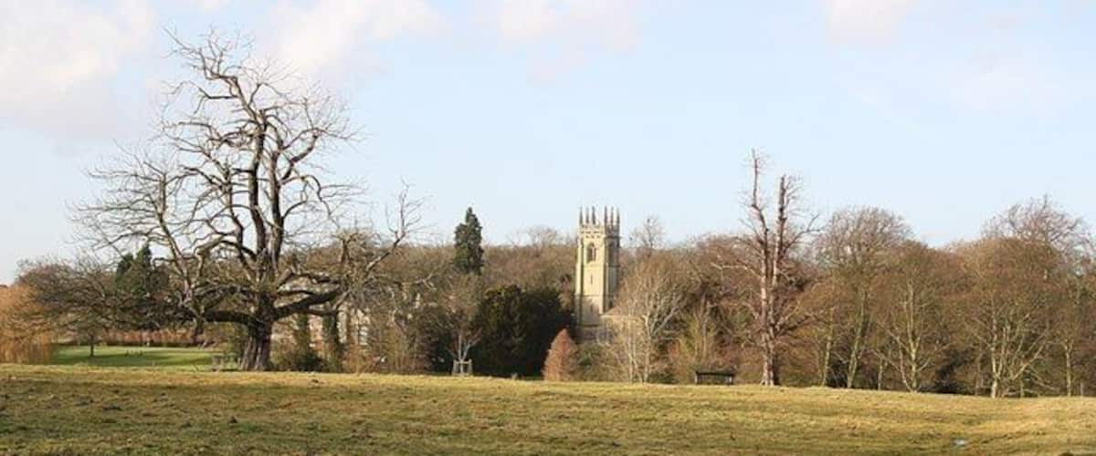 A grassy field with a tower in the distance, surrounded by leafless trees.