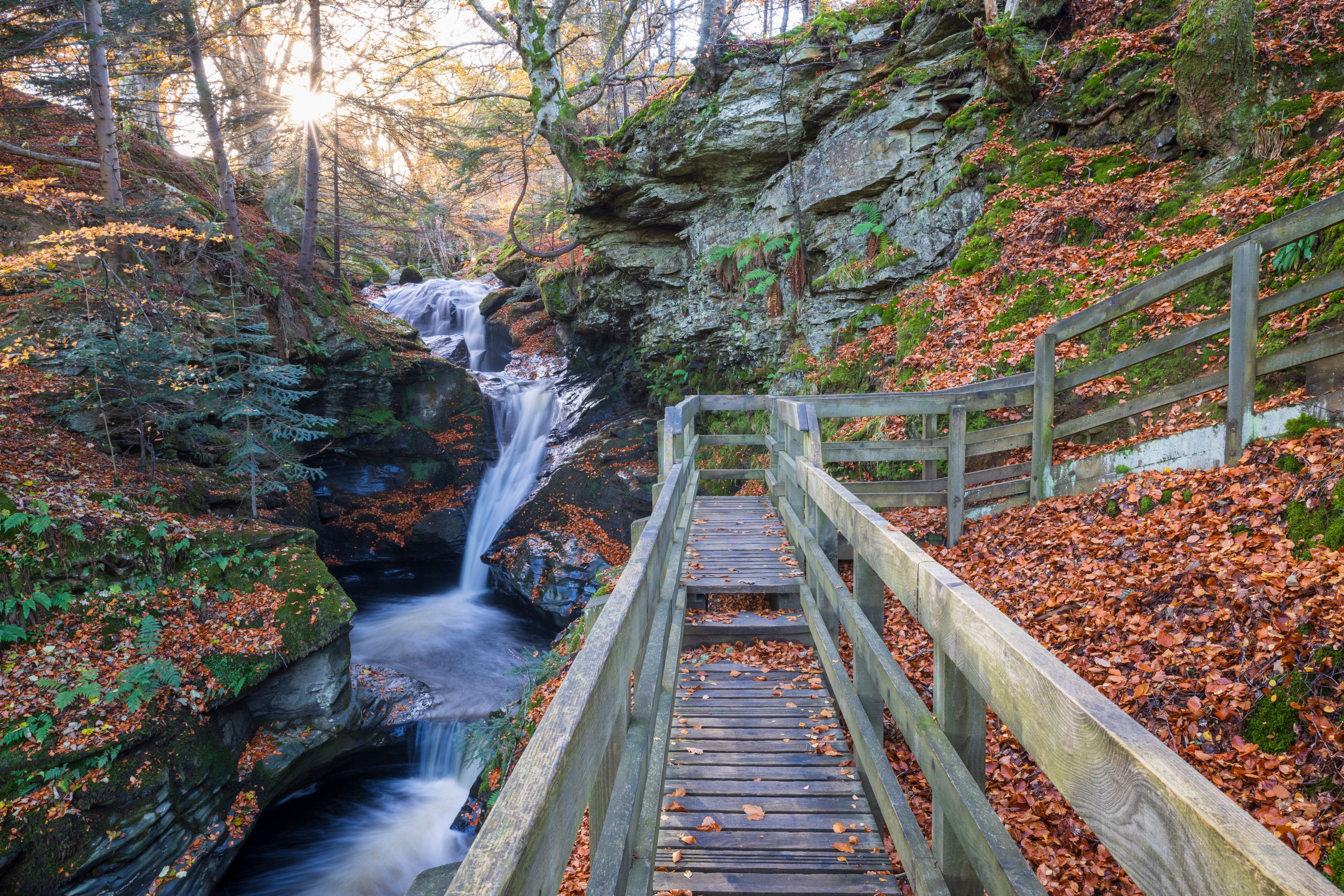 A wooden bridge leading to a waterfall in a forested area with autumn leaves.