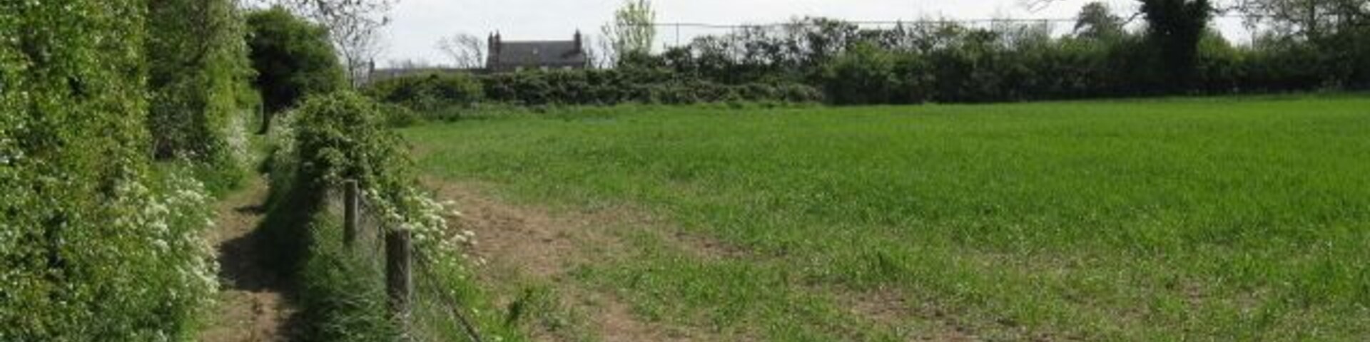 Um caminho rural ladeado por cerca e vegetação, conduzindo a um campo verde com uma casa à distância.