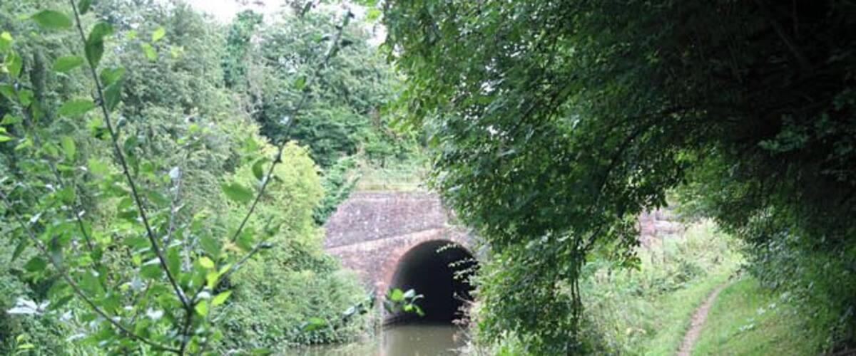 A narrow waterway with a brick bridge and lush greenery.