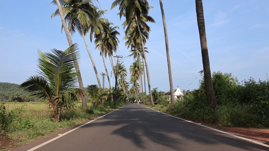 Goa, India 19th October 2022: 4k drone shots of Dear Zindagi Raod known as the Parra coconut tree road, in North Goa. Situated near Mapusa- Calangute road. St. Anne's Church. Goa's Instagram Spot