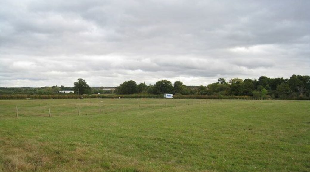 Hodd's Farm grazing land