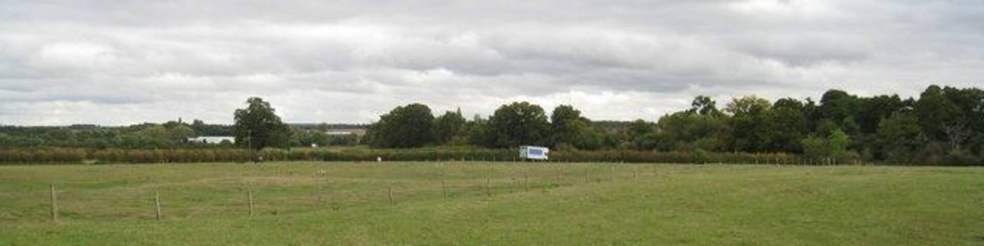 Hodd's Farm grazing land
