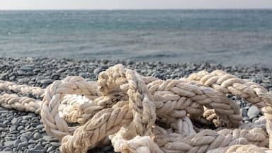 A close-up of thick, weathered ropes on a pebbly beach with the ocean in the background.