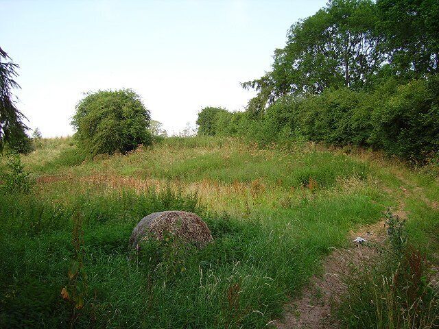 Resting land. A field growing weeds beside the Upton Brook. An old round bale, possibly pea straw rots in a damp area still supporting greenery.