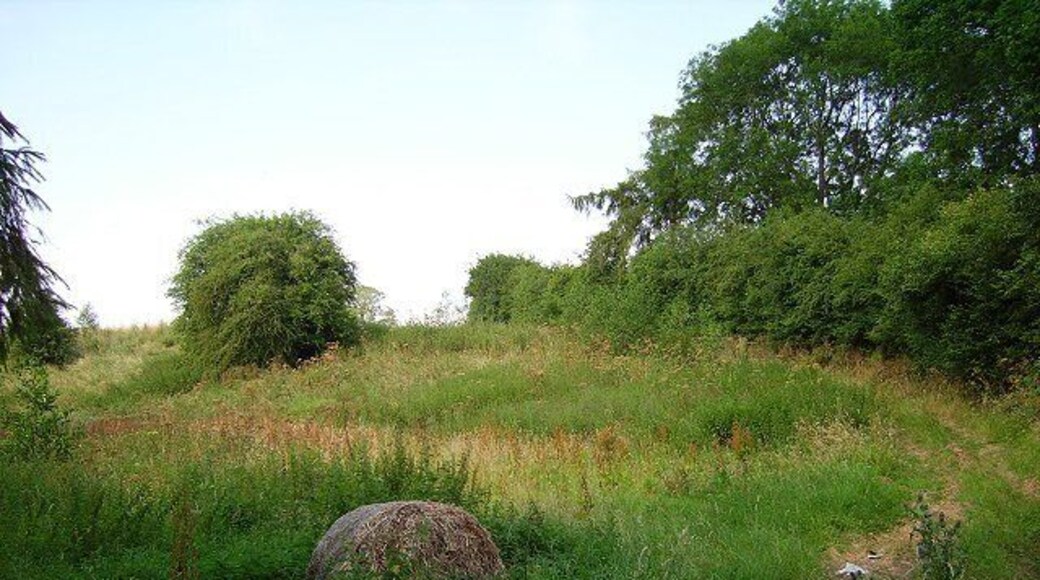 Resting land. A field growing weeds beside the Upton Brook. An old round bale, possibly pea straw rots in a damp area still supporting greenery.