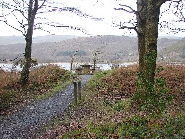 Picnic area at Penrhyn Cregen For more information about this walk along the Mawddach Trail, see 1083502.