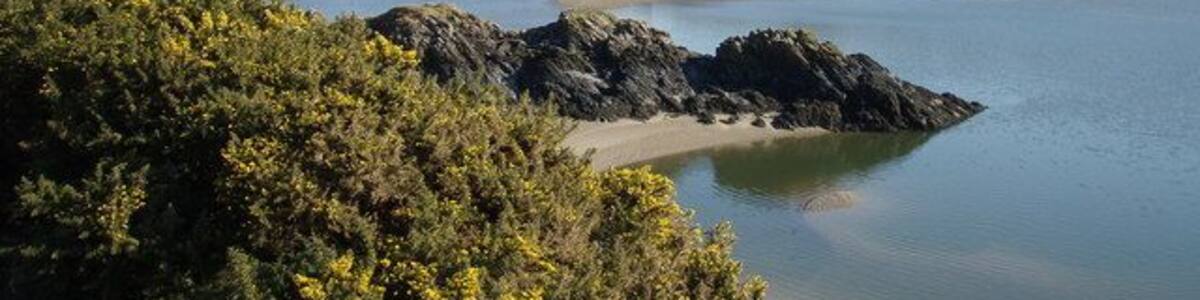 Looking up stream on the Mawddach