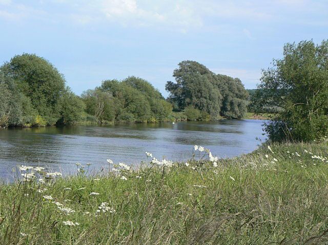 Trent Reach Between Attenborough and Thrumpton