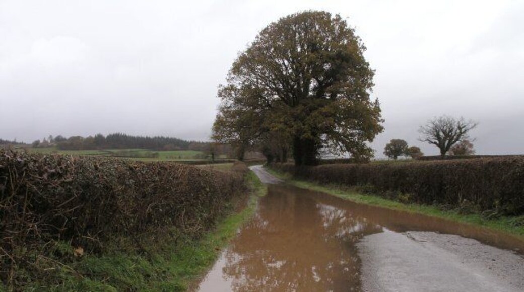 Country road north of Llandybie Short but torrential thundery showers rendered floods on many of the local roads today. Most were passable with care, but an attempt at a nearby ford would have been suicidal.