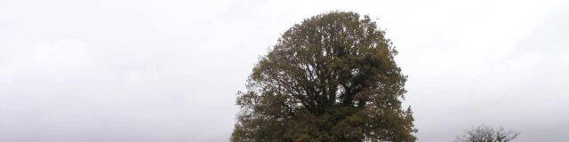 Country road north of Llandybie Short but torrential thundery showers rendered floods on many of the local roads today. Most were passable with care, but an attempt at a nearby ford would have been suicidal.
