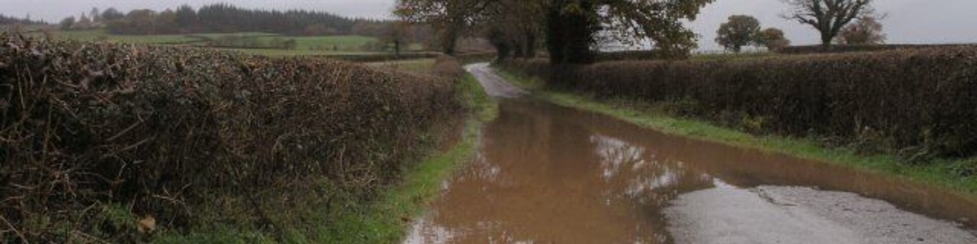 Country road north of Llandybie Short but torrential thundery showers rendered floods on many of the local roads today. Most were passable with care, but an attempt at a nearby ford would have been suicidal.