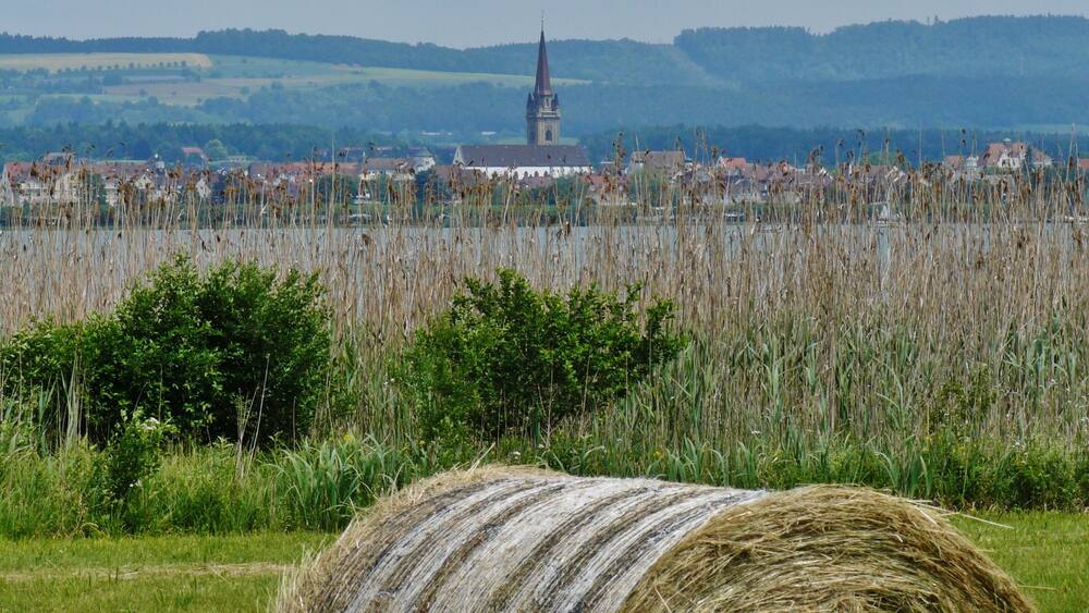 A rural landscape with a church tower, hay bales, and a field of tall grasses.