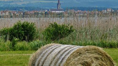 Blick nach Radolfzell