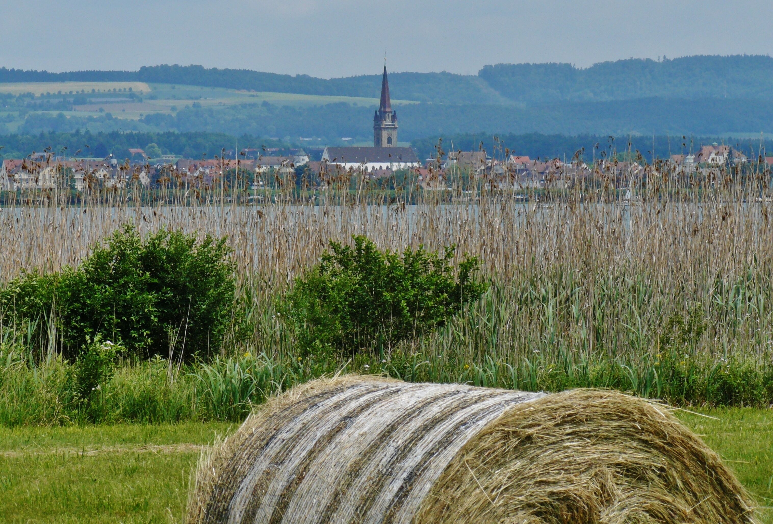 A rural landscape with a church tower, hay bales, and a field of tall grasses.