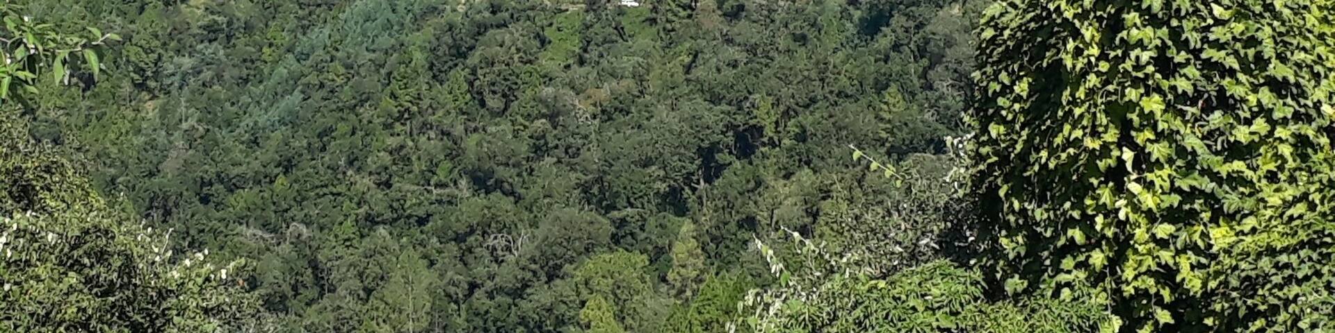 Himalaya veiw to Dharamghar.....