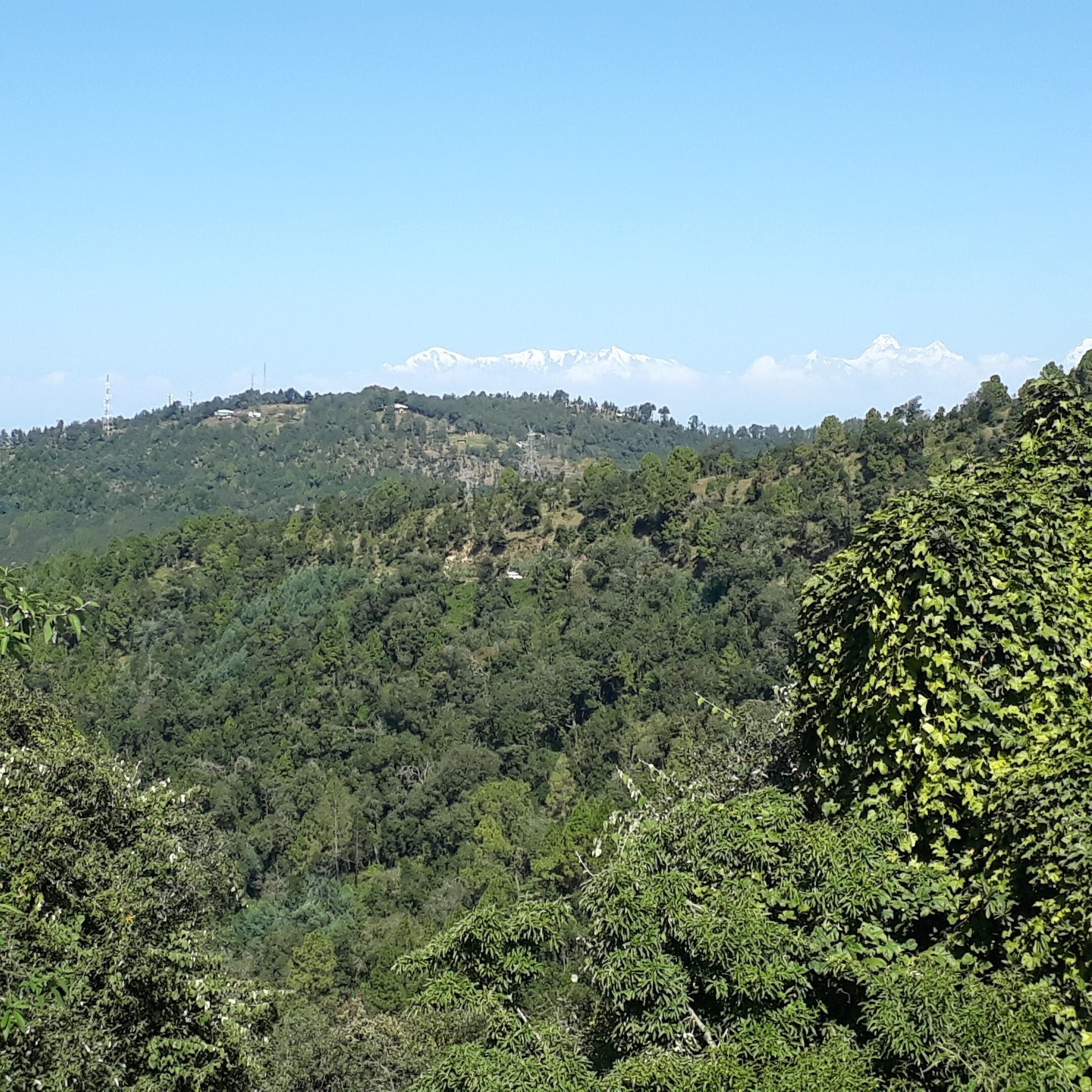 A mountainous landscape with dense green forests and snow-capped peaks in the distance.