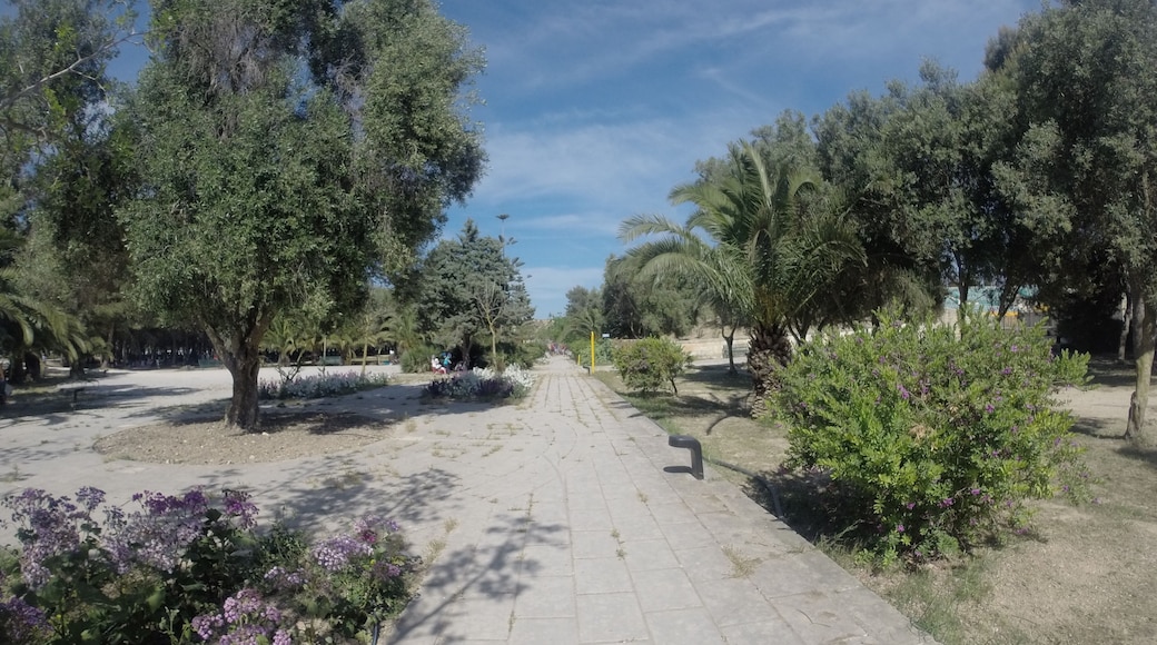 Vjal L-Istadium Nazzjonali, Ħ'Attard, Malta