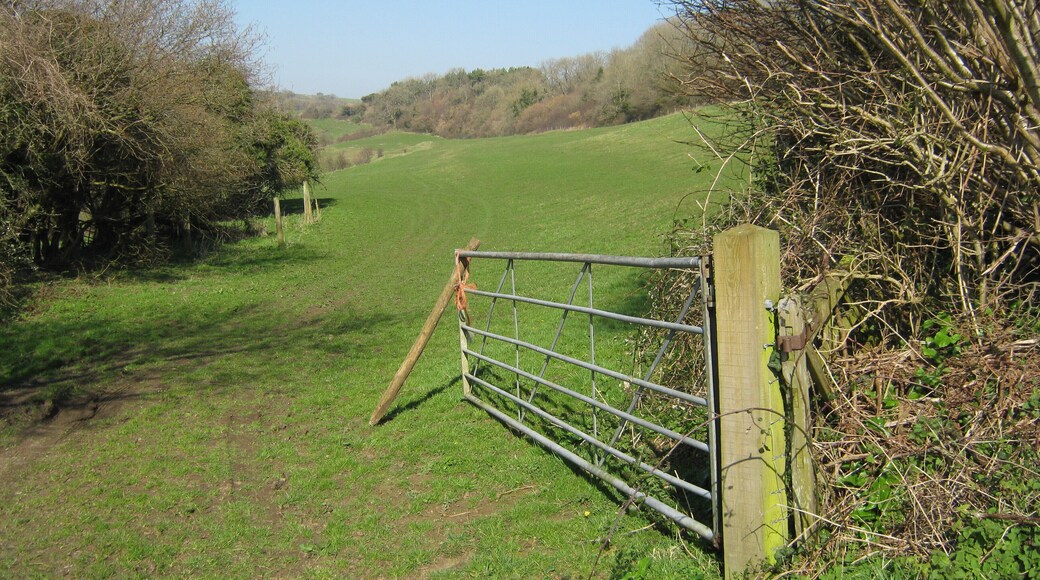 Coombes Wood from Beeks Lane.