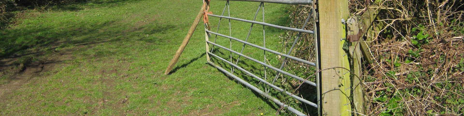 Coombes Wood from Beeks Lane.