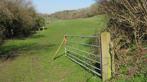 Coombes Wood from Beeks Lane.