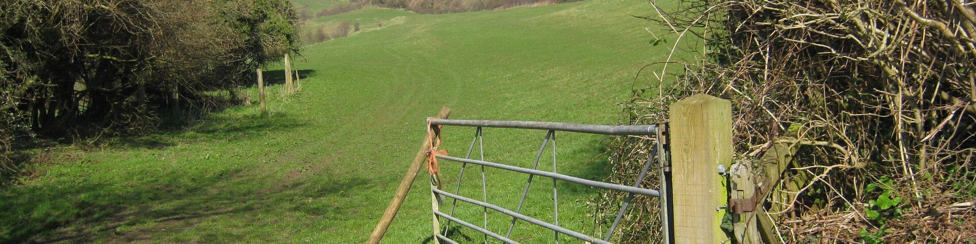 Coombes Wood from Beeks Lane.