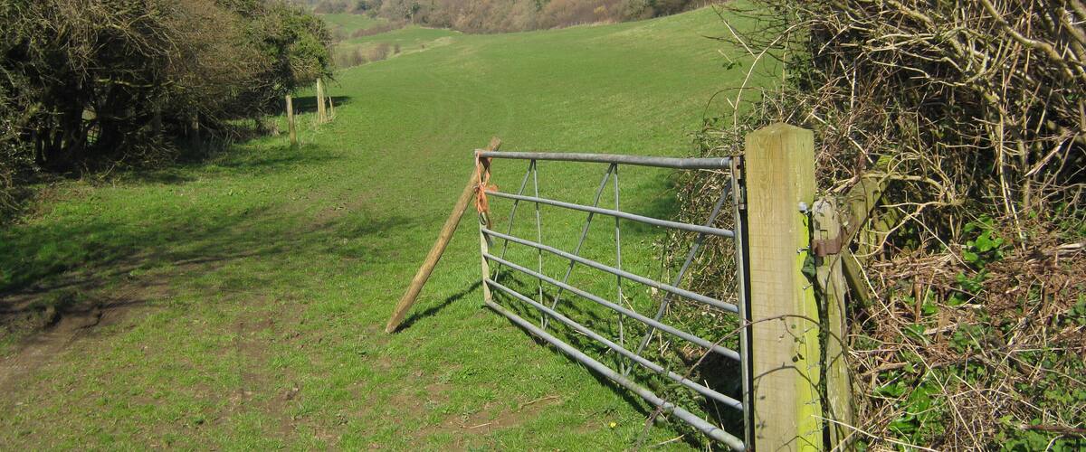 A rural landscape with a metal gate leading into a green field, surrounded by trees and shrubs.