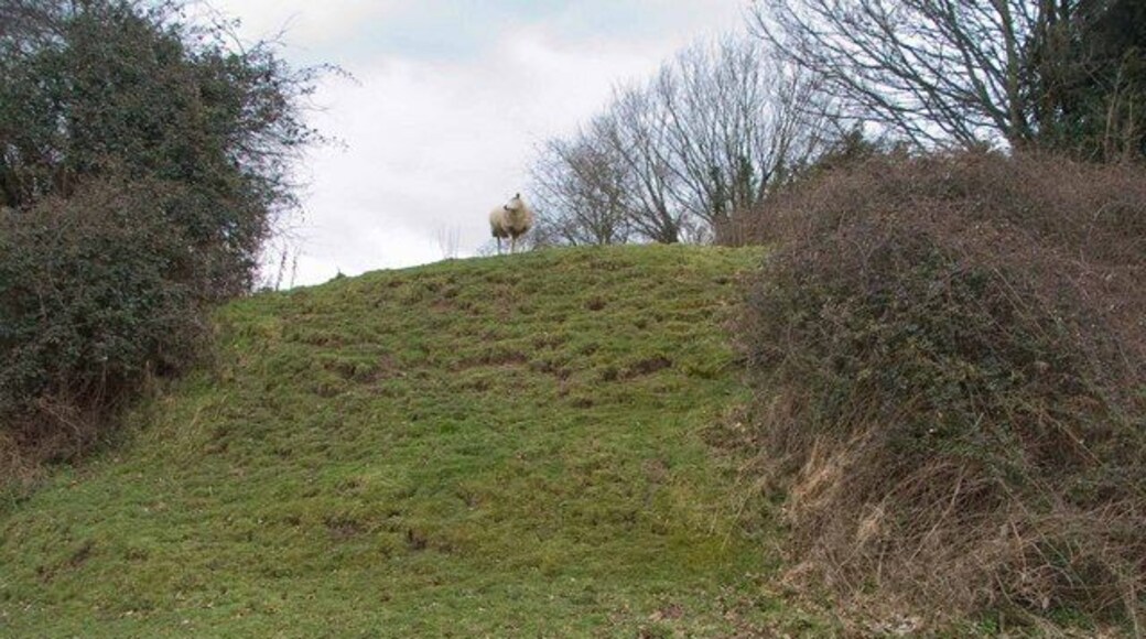 Motte at Stapleton Here's a sheep playing 'I'm the king of the castle' on the motte next to the church.