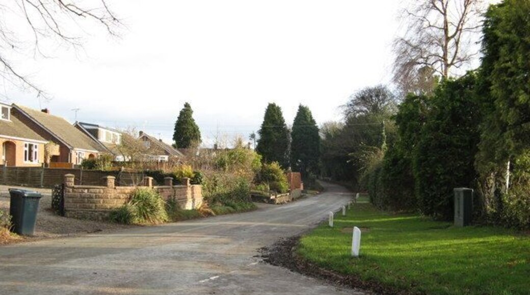 Road Through Stapleton. Houses at Stapleton.