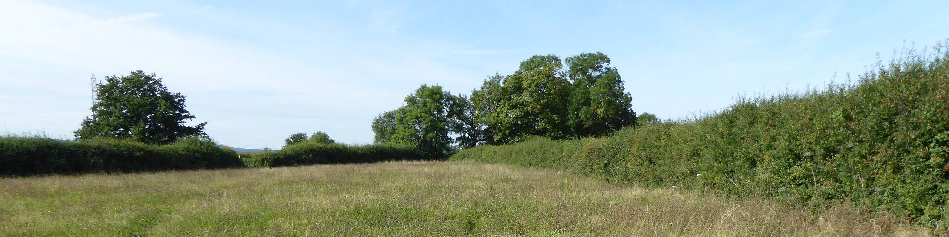 Muston Meadows is a Site of Special Scientific Interest and National Nature Reserve south of Muston in Leicestershire.