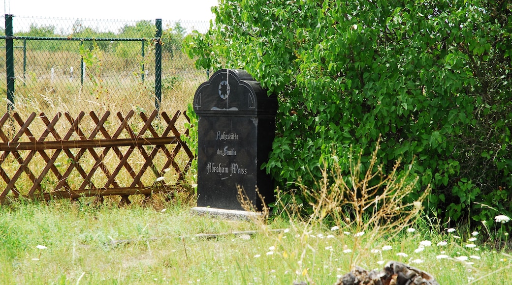 Jüdischer Friedhof in Bretzenheim, südlich des Ortes, Flur In der Johanneshohl; Grabsteine von 1863 bis 1932