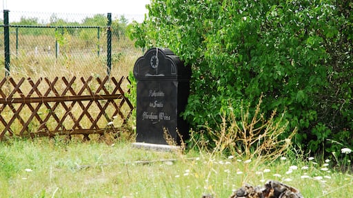Jüdischer Friedhof in Bretzenheim, südlich des Ortes, Flur In der Johanneshohl; Grabsteine von 1863 bis 1932