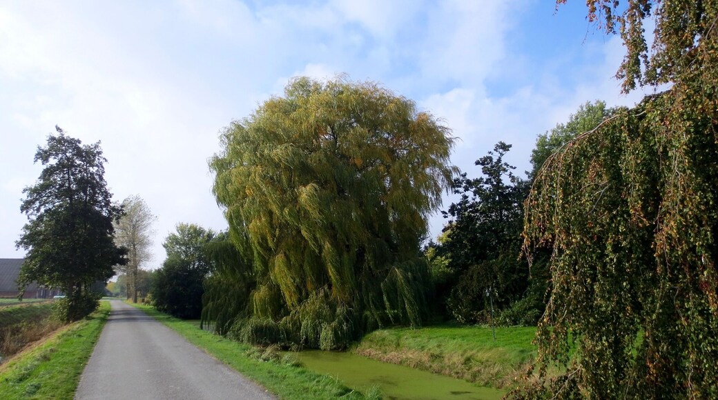 Hefswalsterweg, Herfst