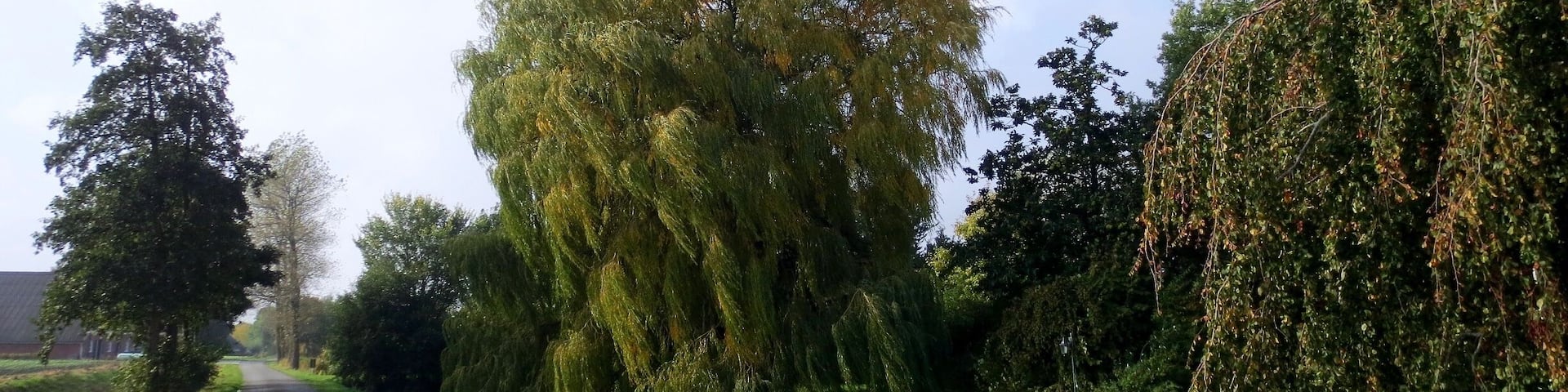 Hefswalsterweg, Herfst