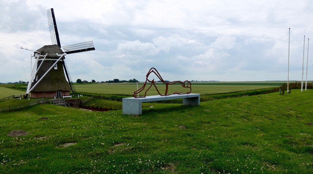 Eemshaven, Roodeschool. Molen De Goliath uit 1897.
#architecture