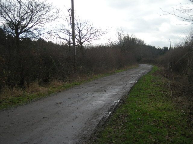 Track to Shawbury Heath woods.