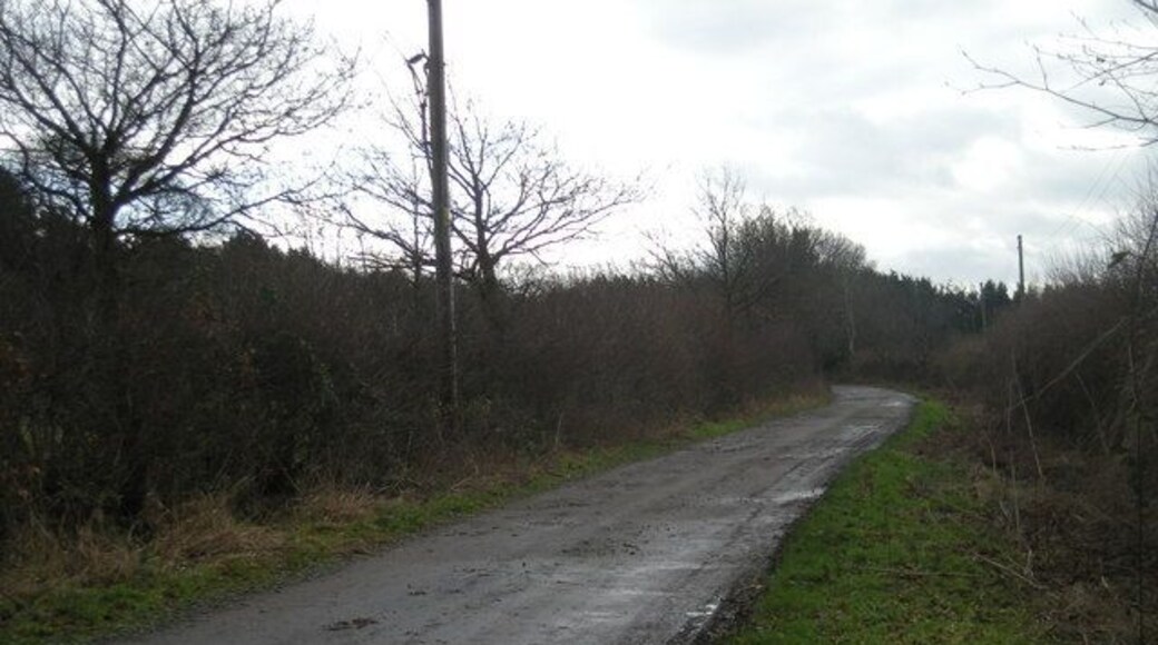Track to Shawbury Heath woods.