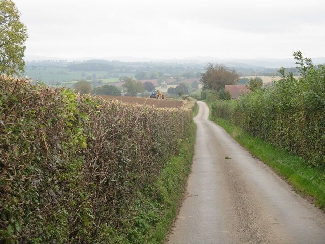 Steeply down from Hegdon Hill The lane drops rapidly toward Pencombe, which village's church tower is just visible above the tractor ploughing in the field to the lane's left.