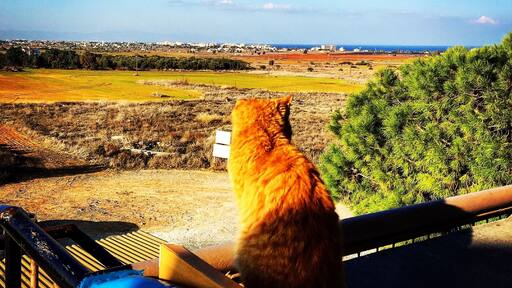 Looking towards Famagusta across No Man's Land from the Greek Cypriot side