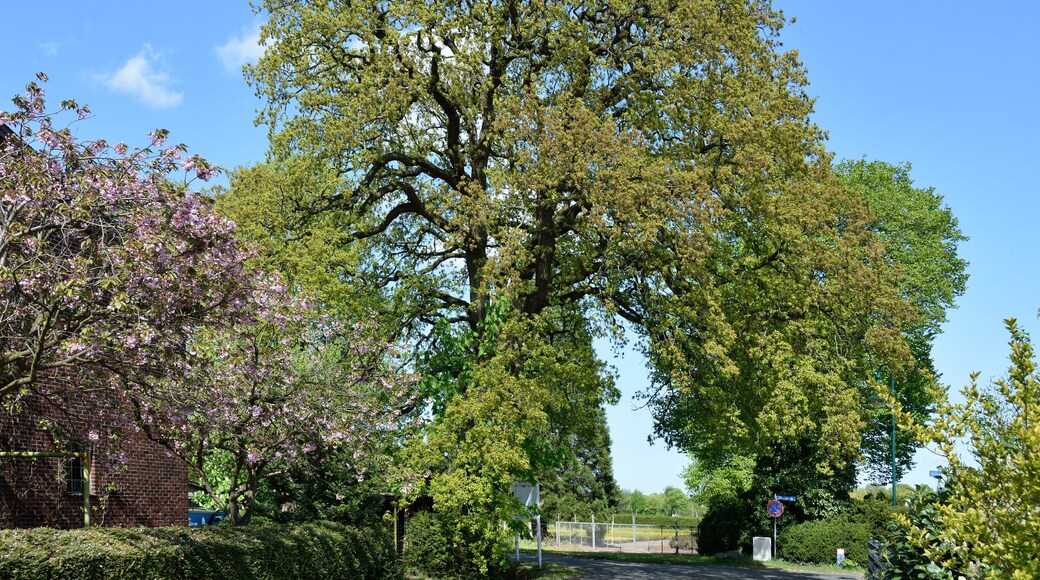 This image was uploaded as part of Wiki Loves Earth 2015.