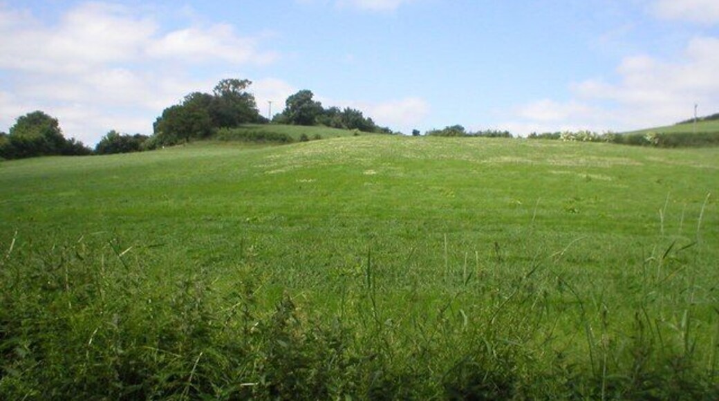 Fields near Beckside Farm Oldstead