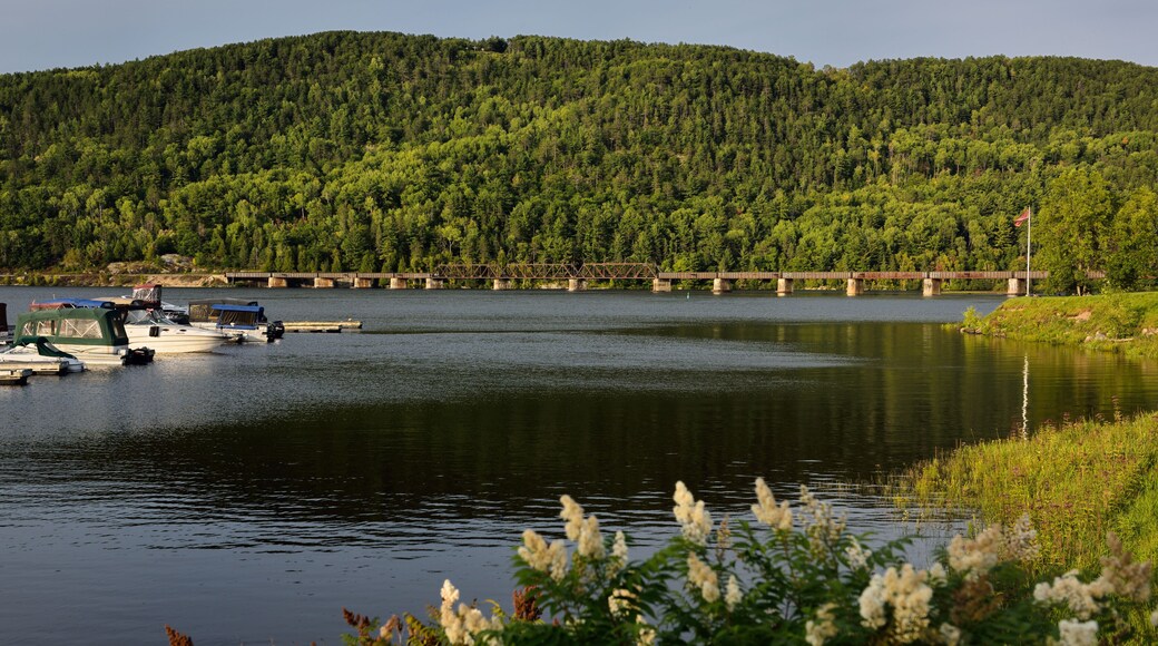 Train bridge over the Ottawa river to Quebec at Mattawa Explorers Point Park
