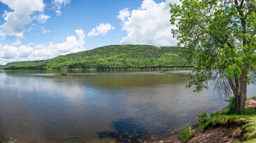A panoramic view of a small marina at Mattawa, Ontario's waterfront where the Ottawa River meets the Mattawa River on a beautiful sunny day.
